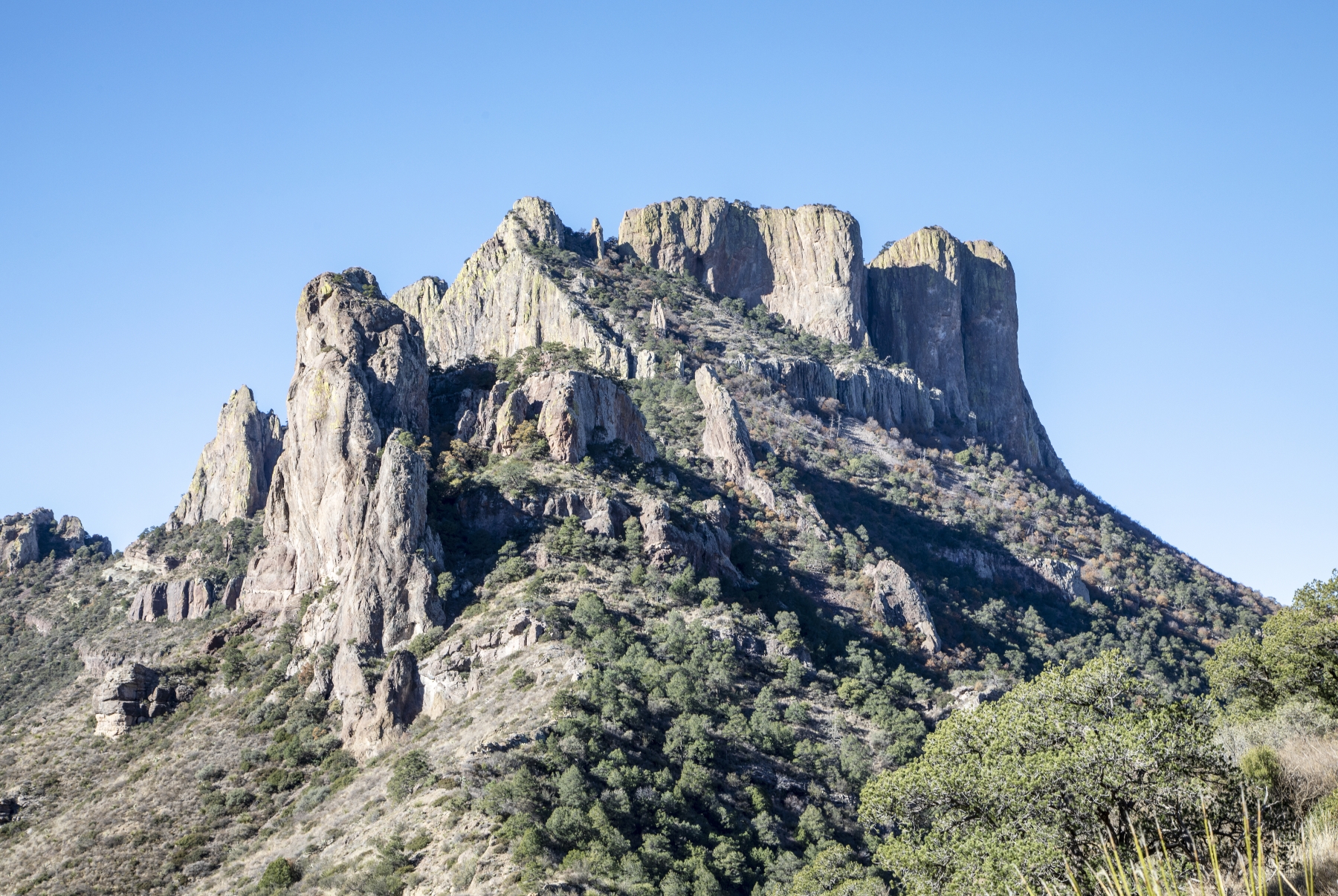 /gallery/north_america/USA/Texas/big bend np/Big Bend Chisnos Mts Dec 2018-002_med.jpg